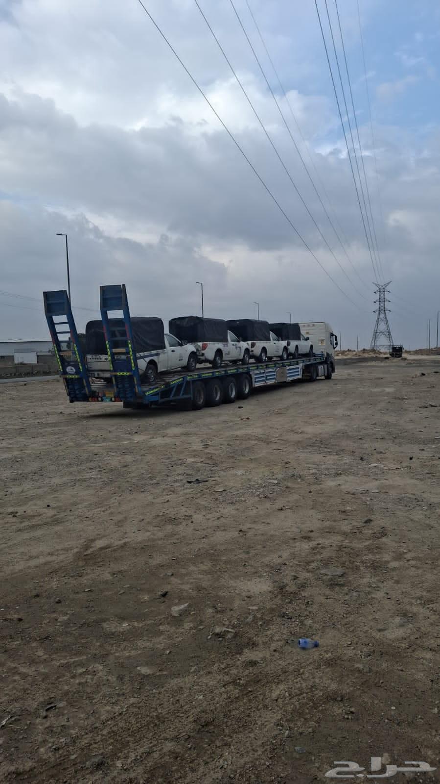 لوبد طول 21 عدد 264448420960641110