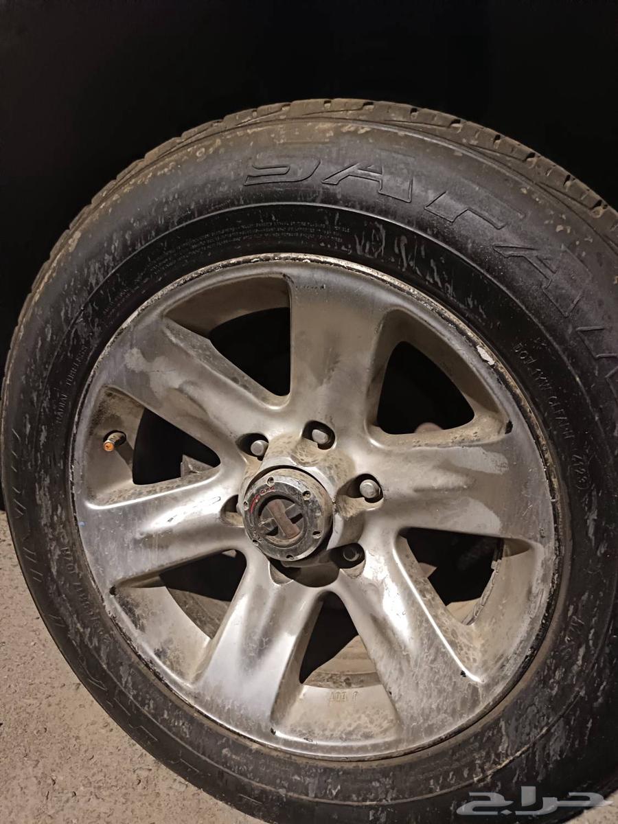 جنوط للبيع64452549710081110