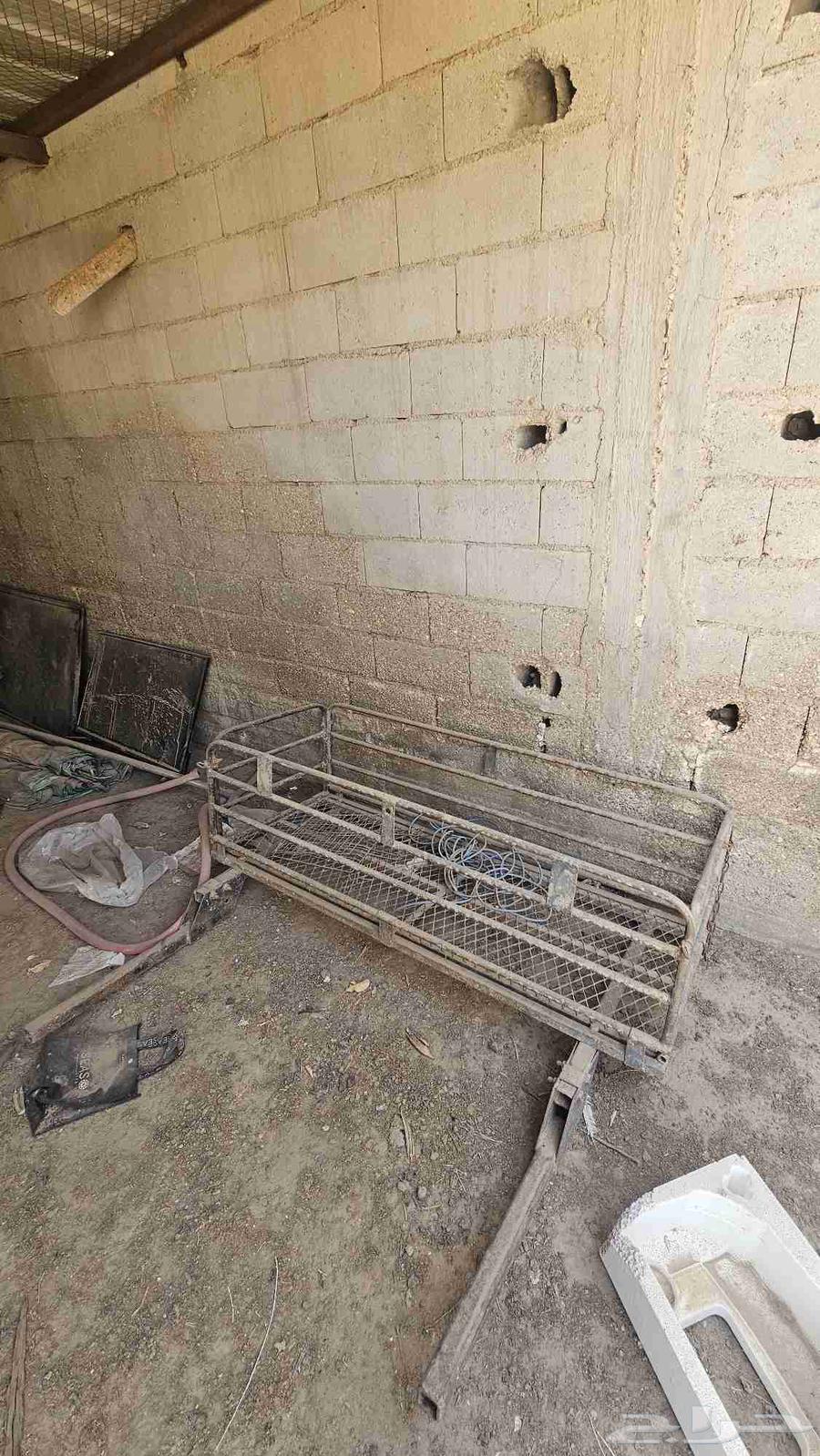 سلة خلفيه بدون القواعد64461062906113111