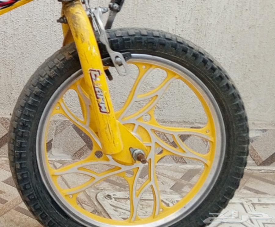 جنوط مقاس 1664458811134465111