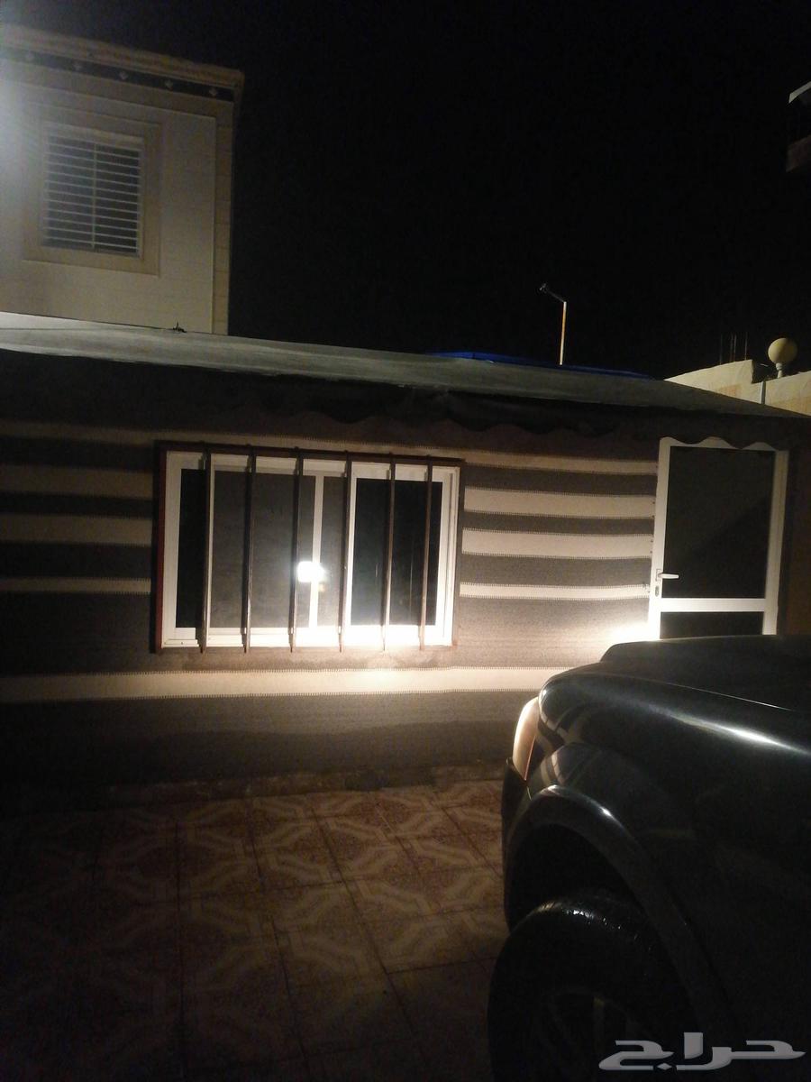 بيت شعر لبيع كامل بلجلسه والمكيف64324031562753112