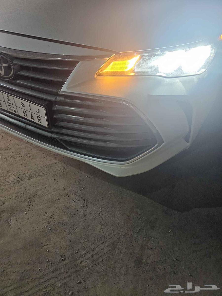 Sadam Avlon model 202164453958077825111