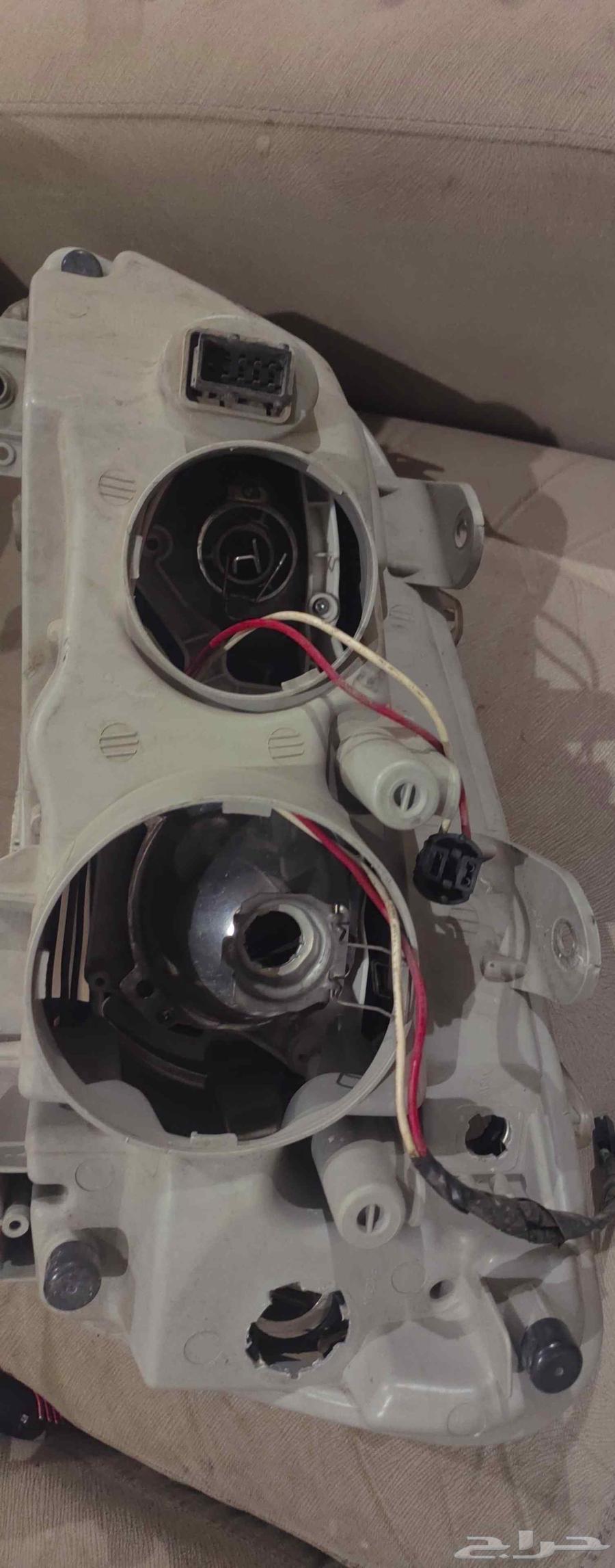 My WhatsApp number64462485801731111