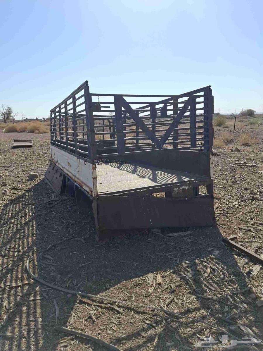 صندوق دينا جانبو64462555117187112