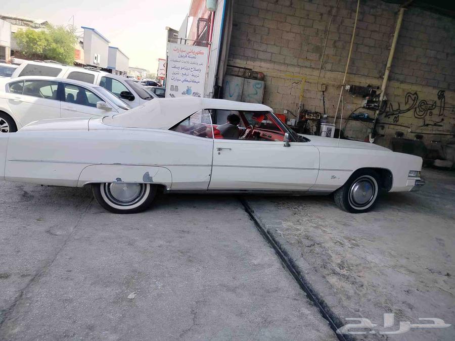 Lifting and lowering all types of cars64456639828227113