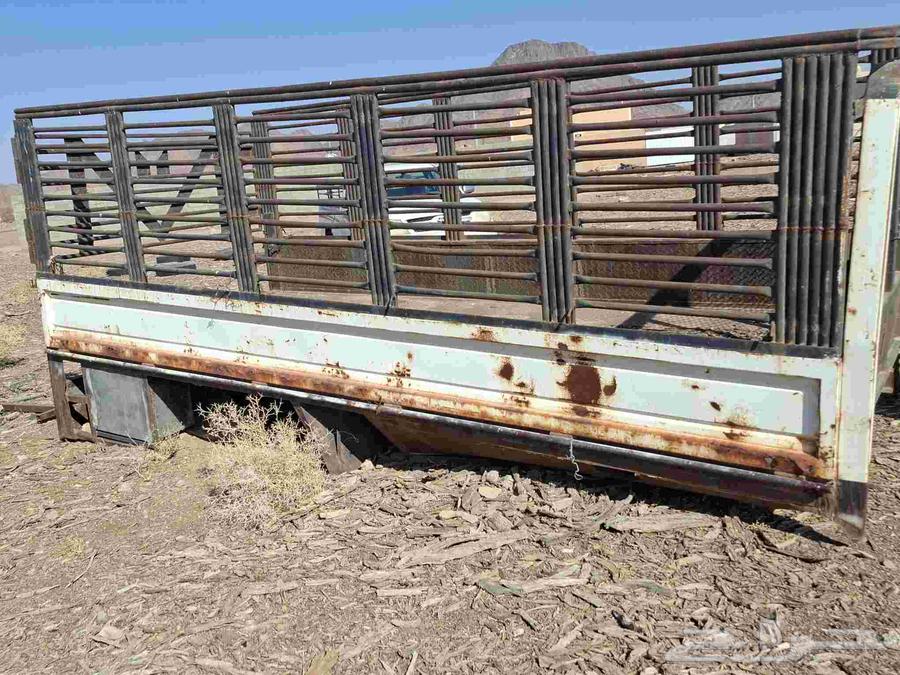 صندوق دينا جانبو64462555117187114