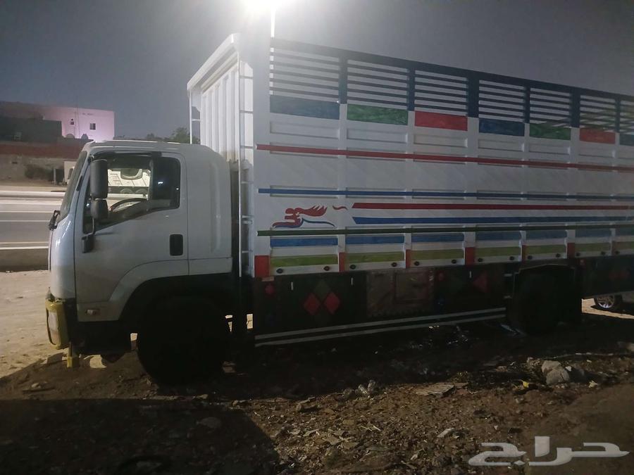 لوري ايسوزو للايجار64452549784067110