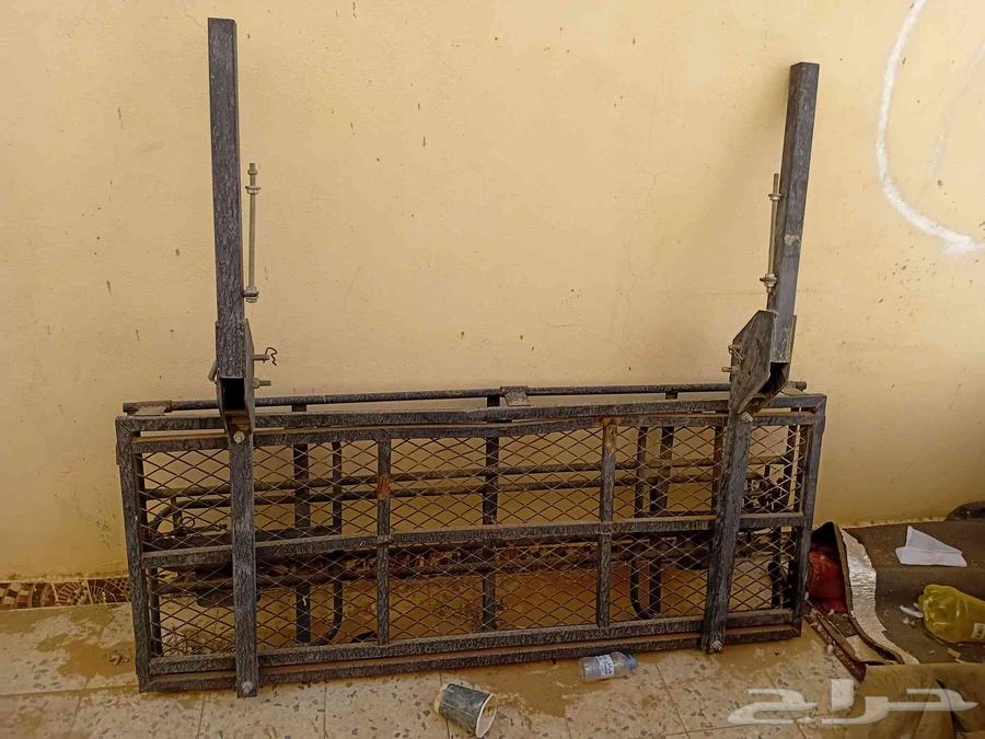 سله تركب على اي جيب 250 جتك64464688536834110