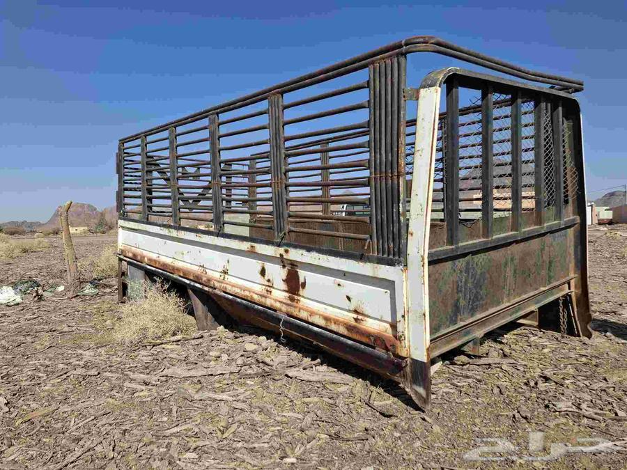 صندوق دينا جانبو64462555117187113