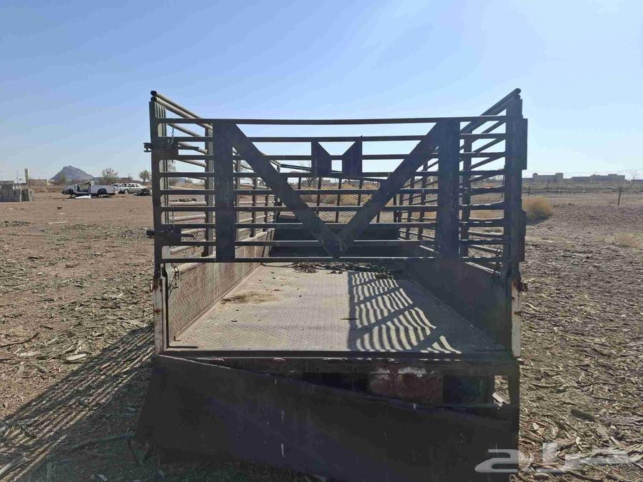 صندوق دينا جانبو64462555117187110