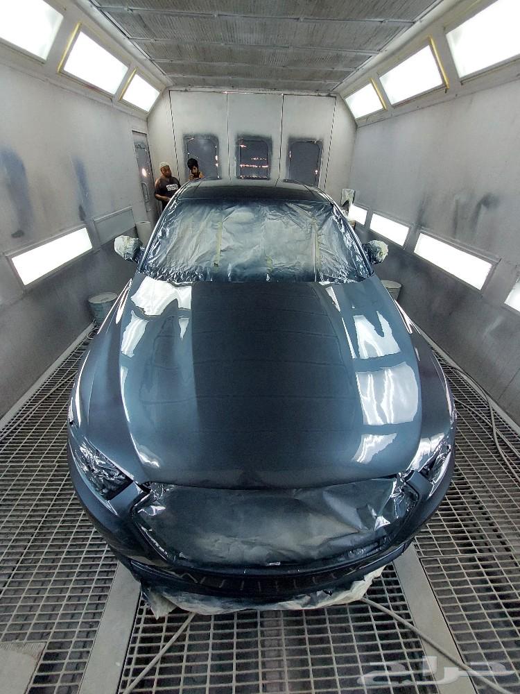 صبغ المركبات64464351142529114