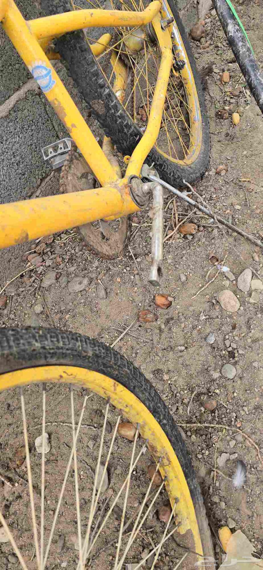 سيكل كبير64323305199362112