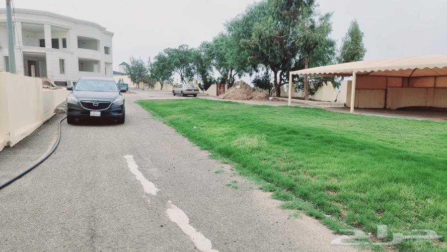 Mazda cx9 201664479217557505112