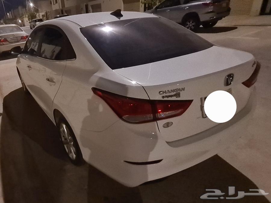 شانجان السفن 2025 فل كامل64466319886465113