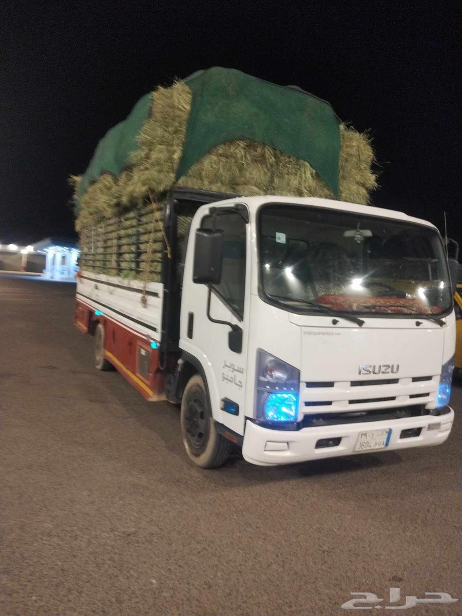 دينه محايل 6متر الحيله النزهه ترقش الضرس الريش ال فاهمه قنا64474596602241113