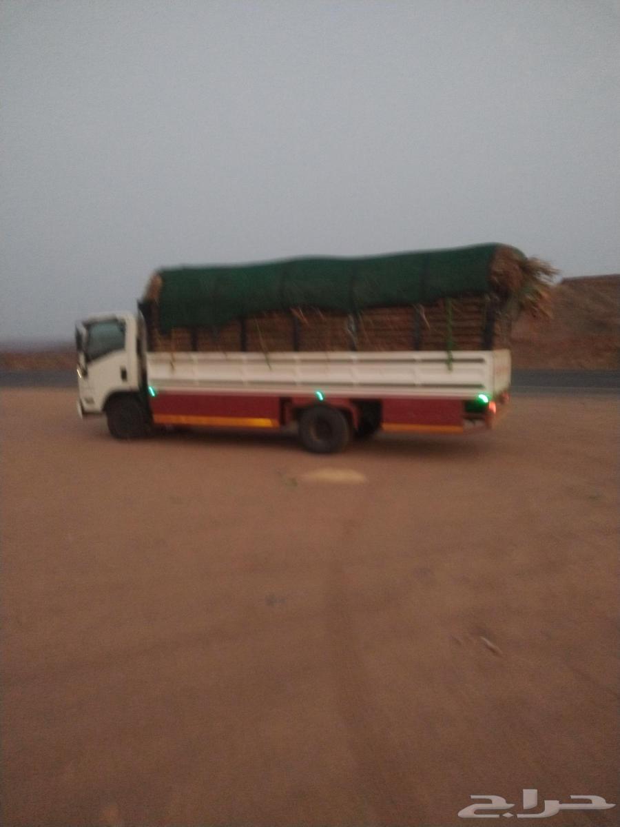 دينه محايل 6متر الحيله النزهه ترقش الضرس الريش ال فاهمه قنا64474596602241110