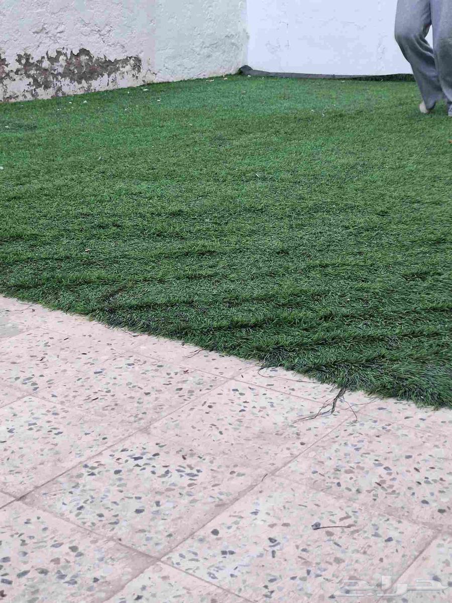 فرشه عشب للبيع64460734607491111