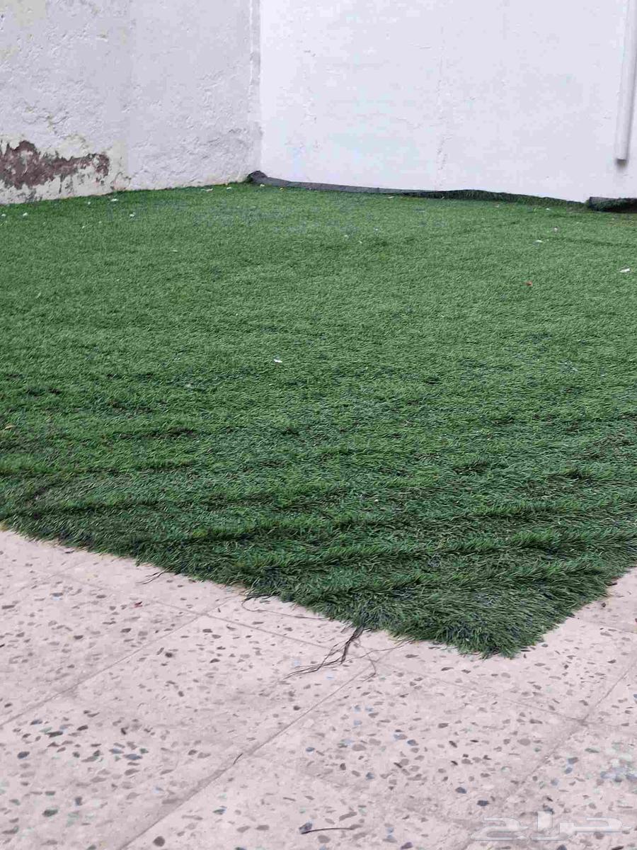 فرشه عشب للبيع64460734607491110
