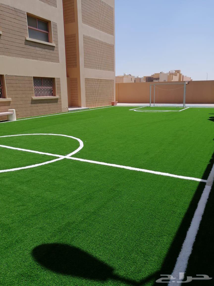 تنسيق حدايق63617021276674111