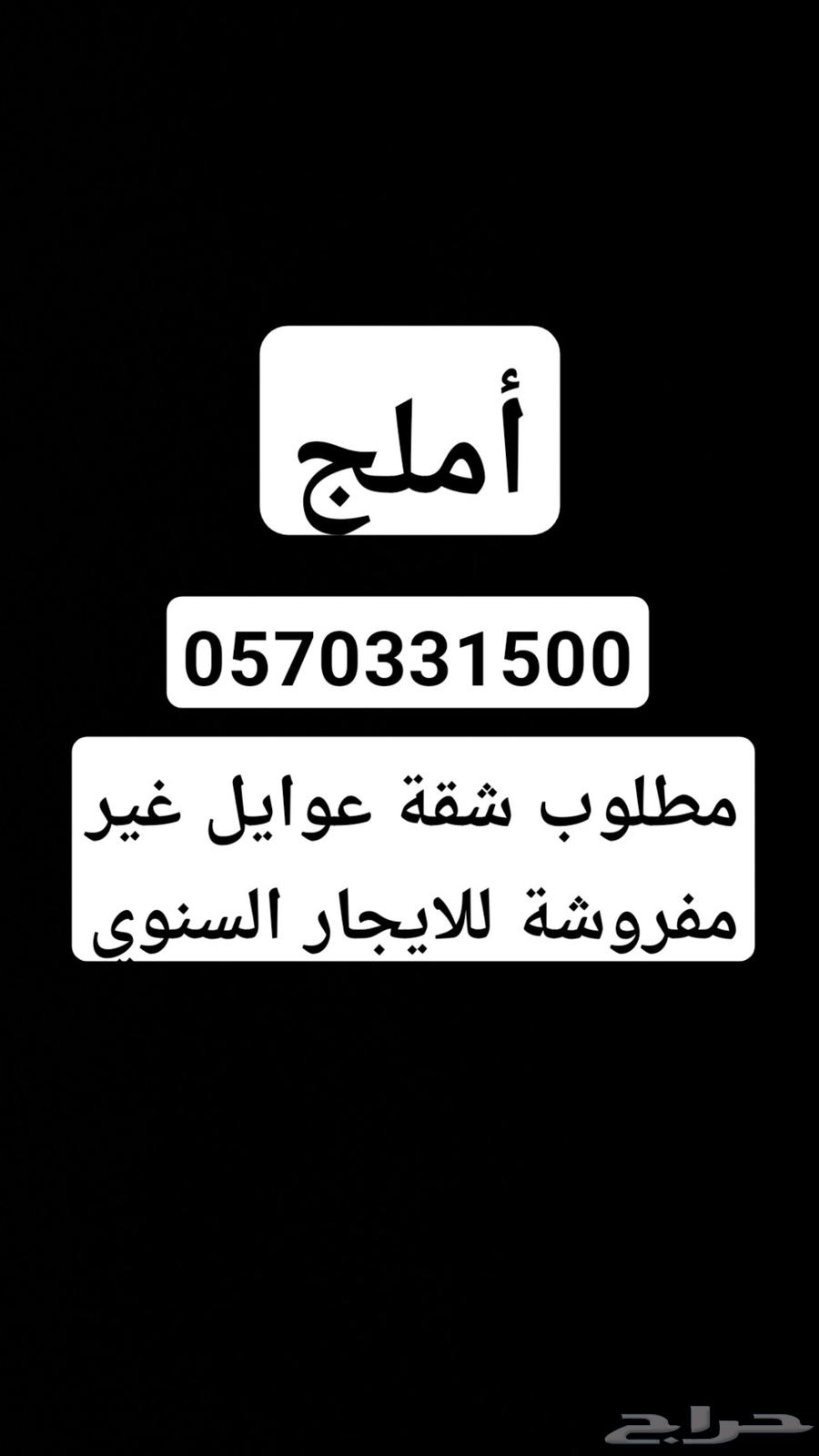 مطلوب شقة عوايل بلاط للايجار بأملج63613836222339110