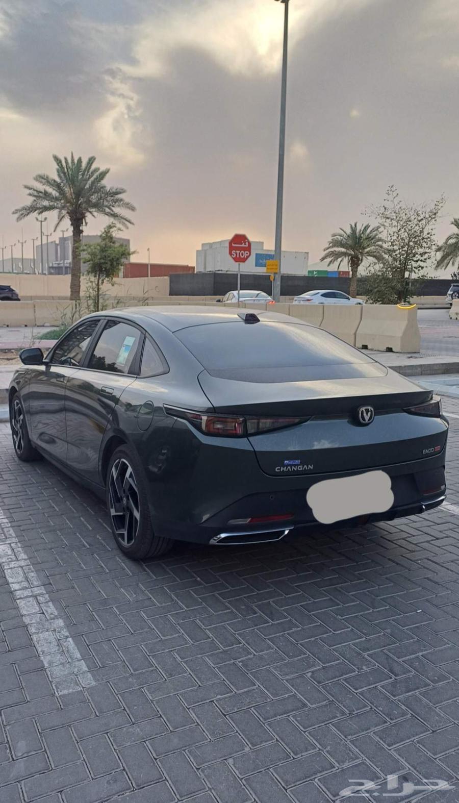 Eido Plus 2025 Standard64490660476289112