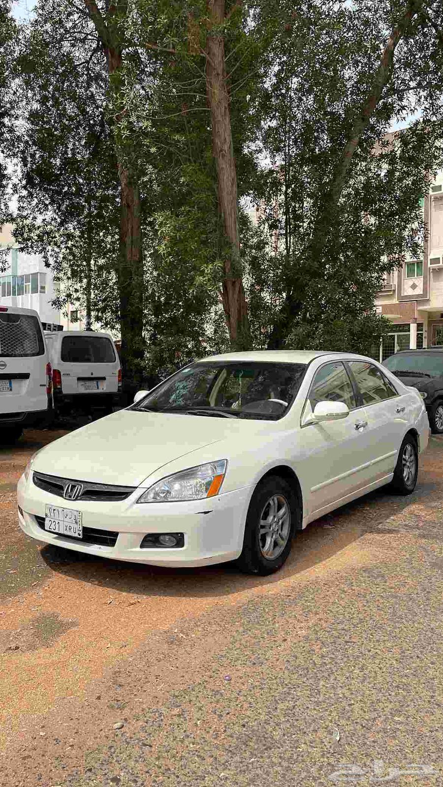 لوحه للبيع64480263683715111