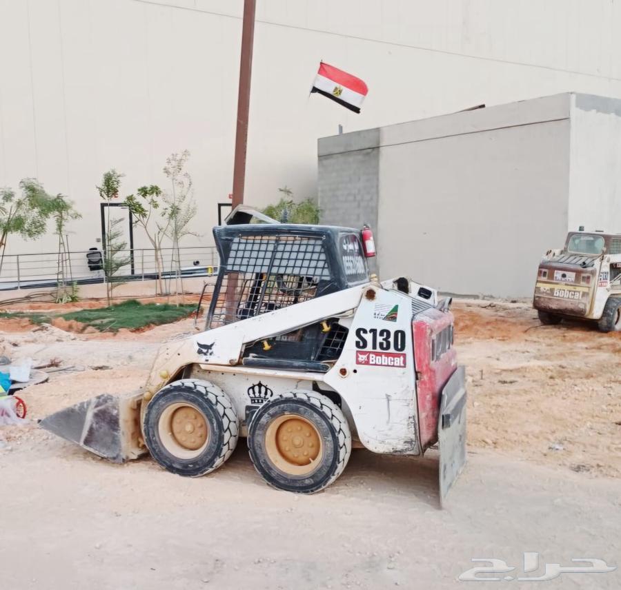 Bobcat in Riyadh64487152456451110