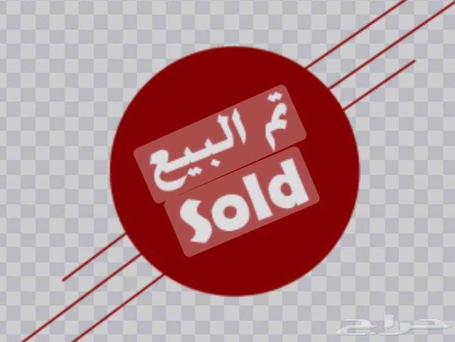 12 Brahma Chicks from One Week to One Month Old64250415567491110