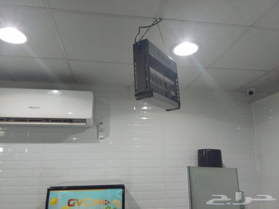 مطعم فول وفلافل مصري للتقبيل63613856690691114