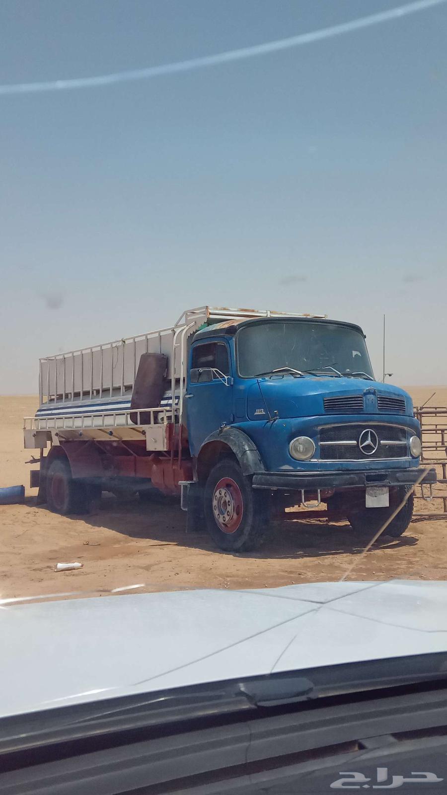 وايت حصنيه موديل 7364486274181763111