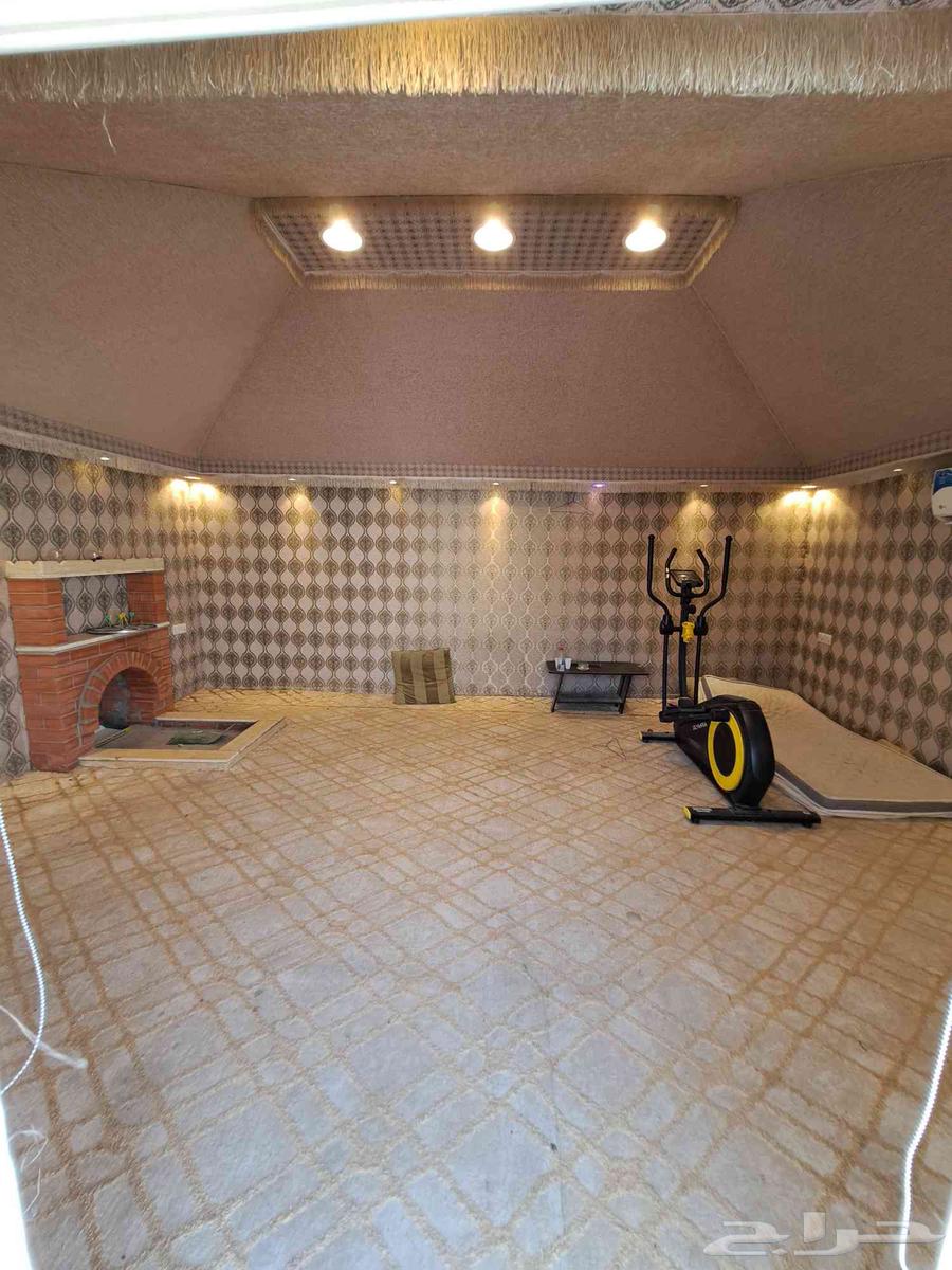 للبيع خيمة ملكي 4 6 مع مشب64336956571521112