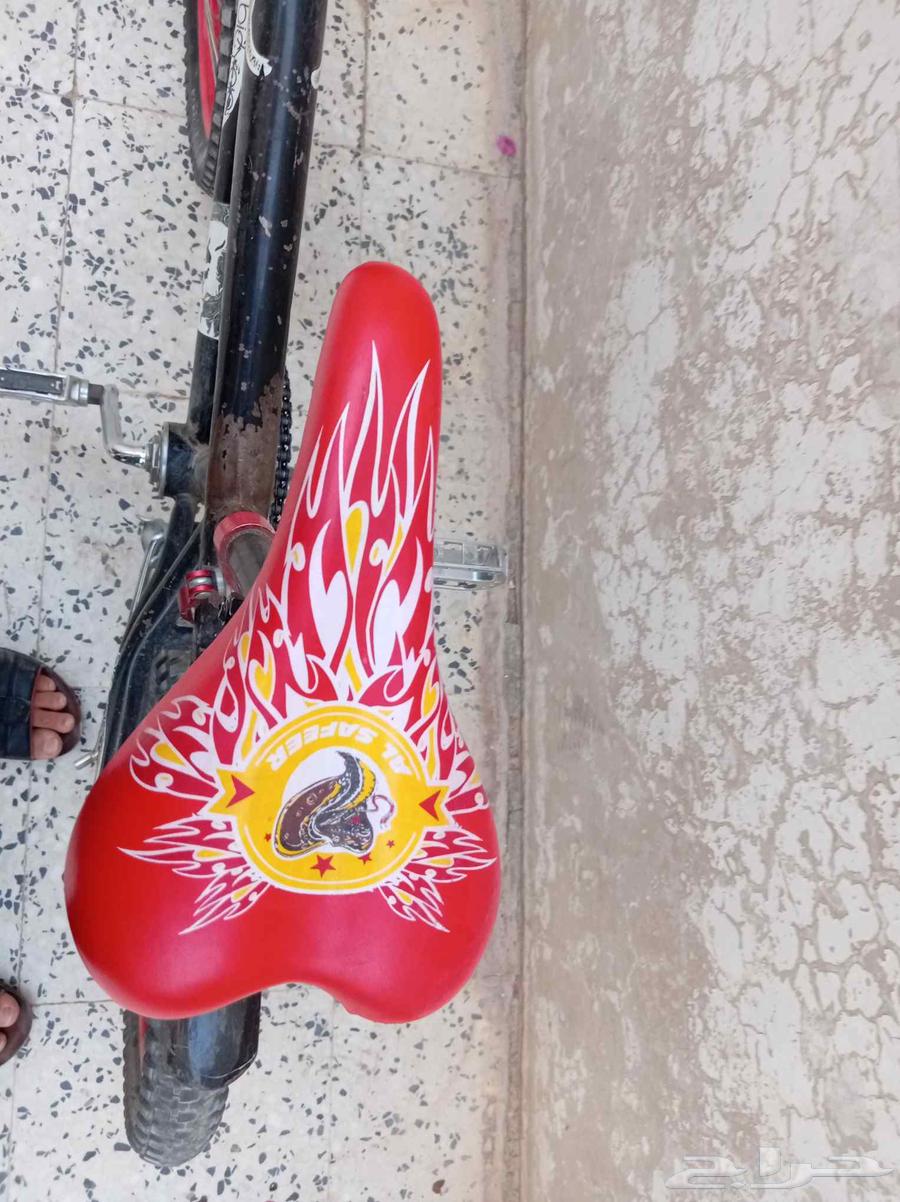 سيكل كوبرا مقاس 1464387271548034114