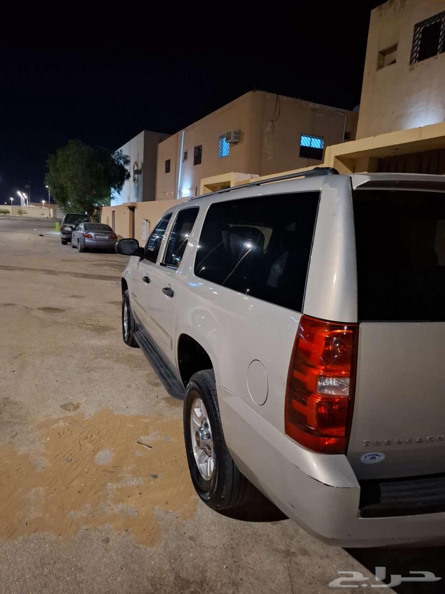 Trayf64492080652035112