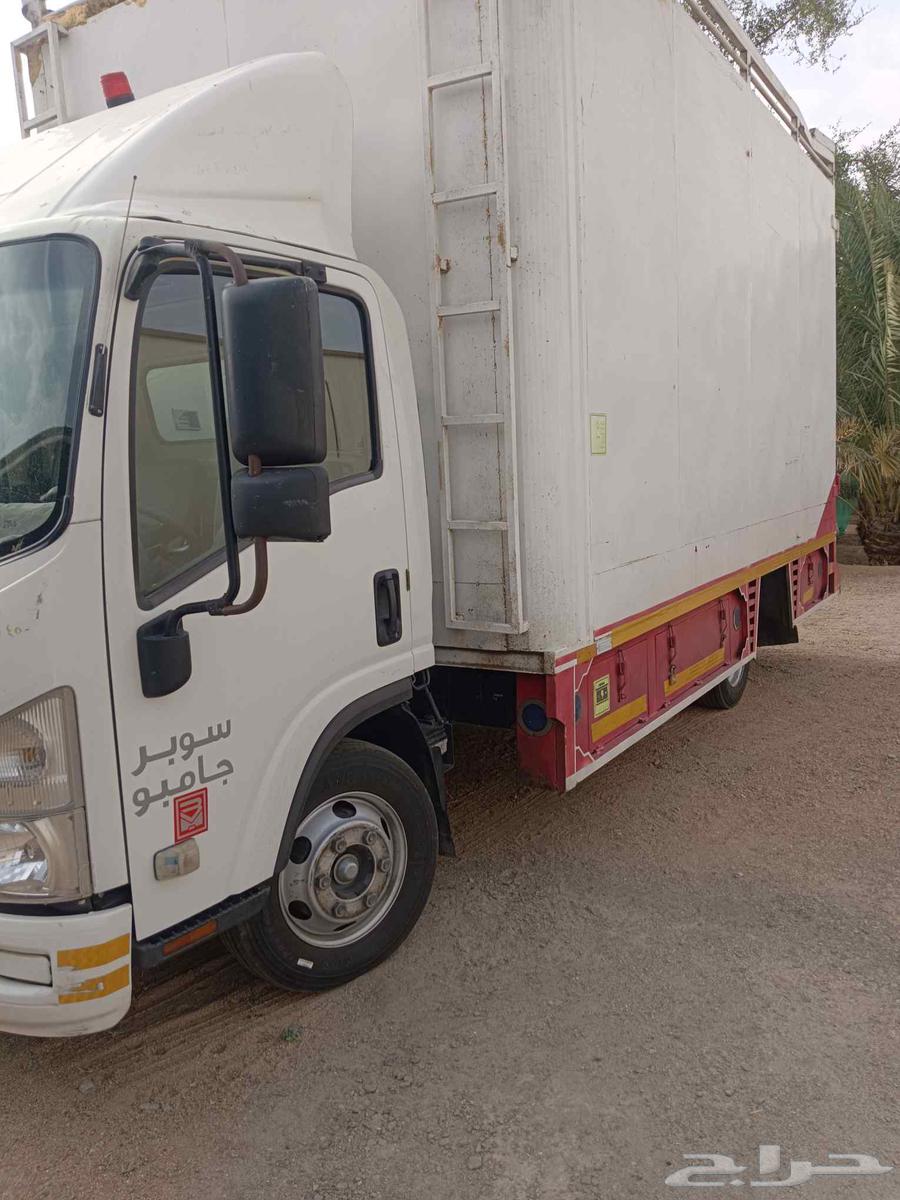 Dina Assioua 202364487690953731110