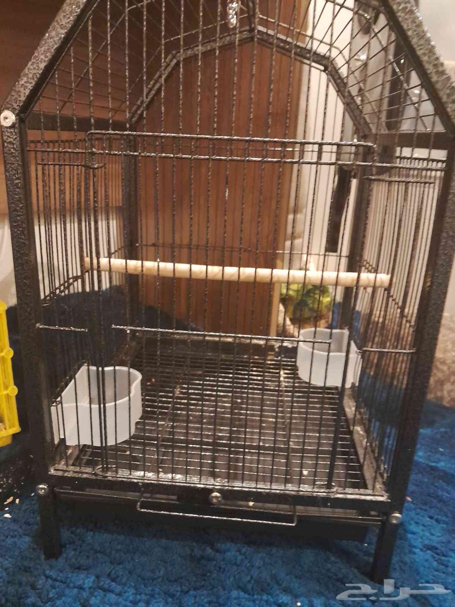 يوجد استاند و قفص وشنطه تنقل وقفص تنقل وحضانات64344287419393112