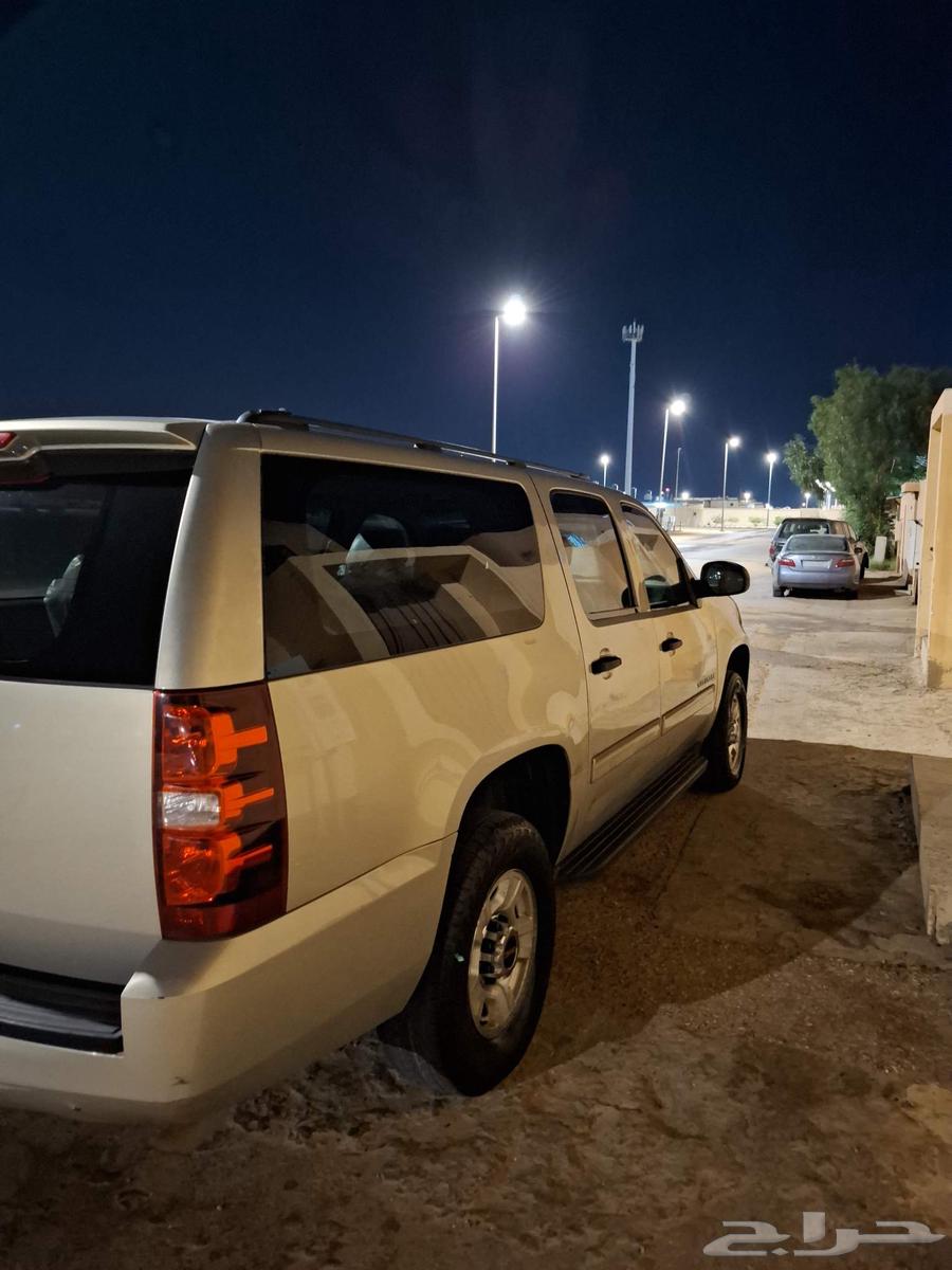 Trayf64492080652035113