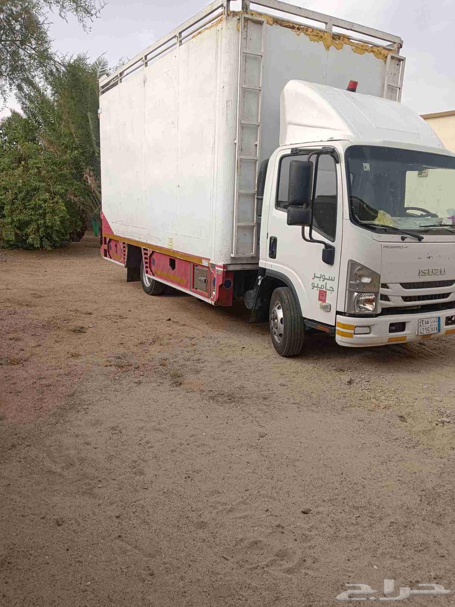 Dina Assioua 202364487690953731112