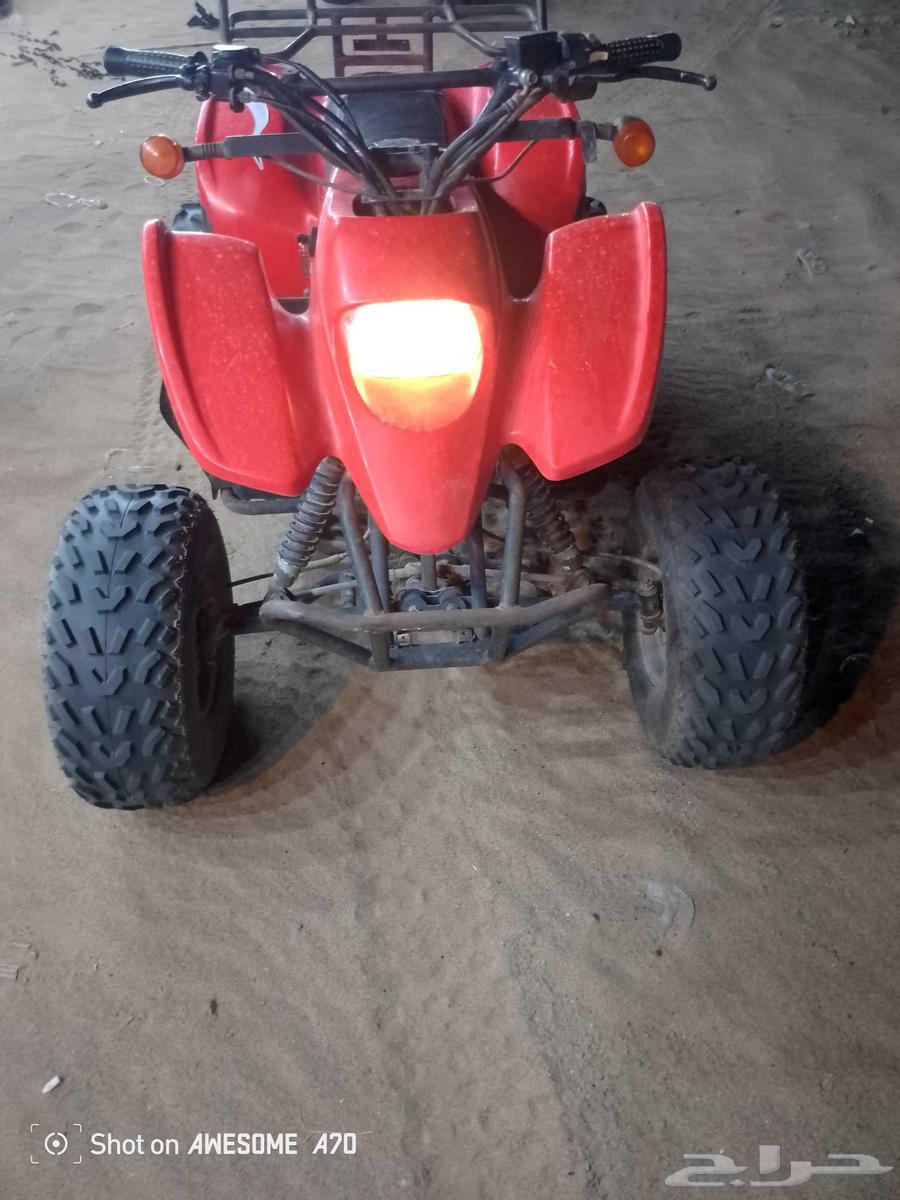 202264491401238913112