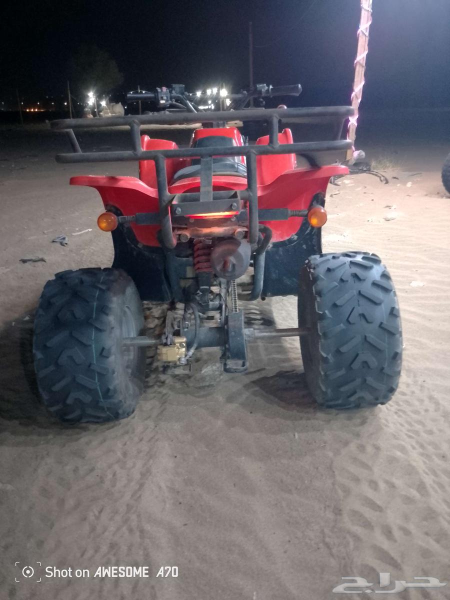 202264491401238913113