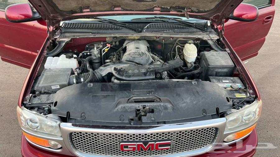 يوكن دينالي64492460881154112