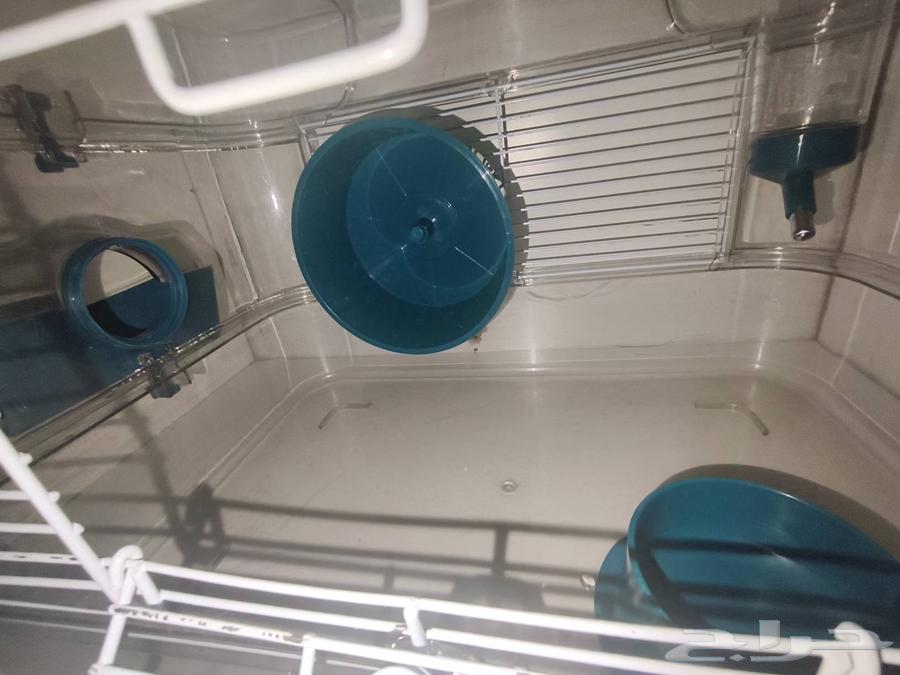 هامستر سوري مع قفص واغراضه64342441984001110