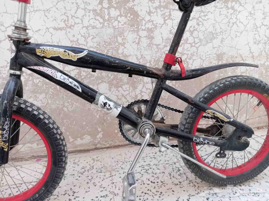 سيكل كوبرا مقاس 1464387271548034113