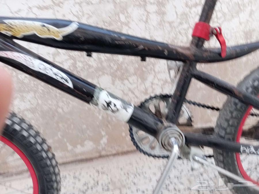 سيكل كوبرا مقاس 1464387271548034112