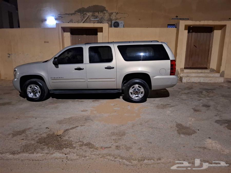 Trayf64492080652035111