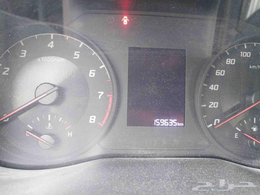 Accent 202264481264298243113