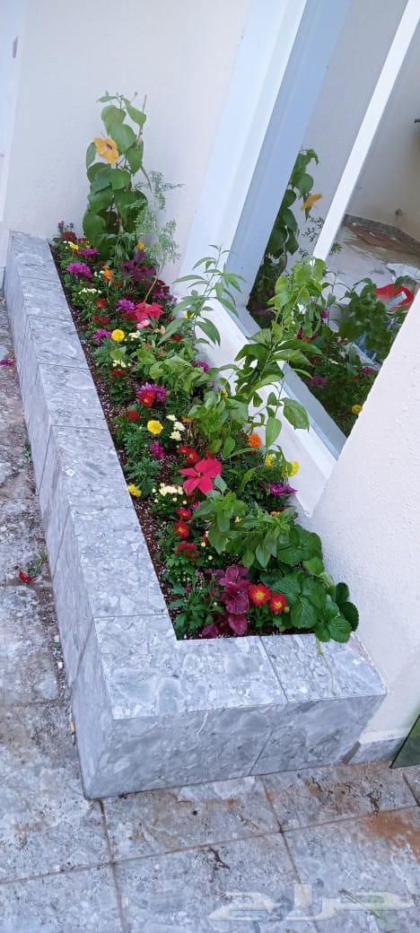 Landscaping63617186465793113