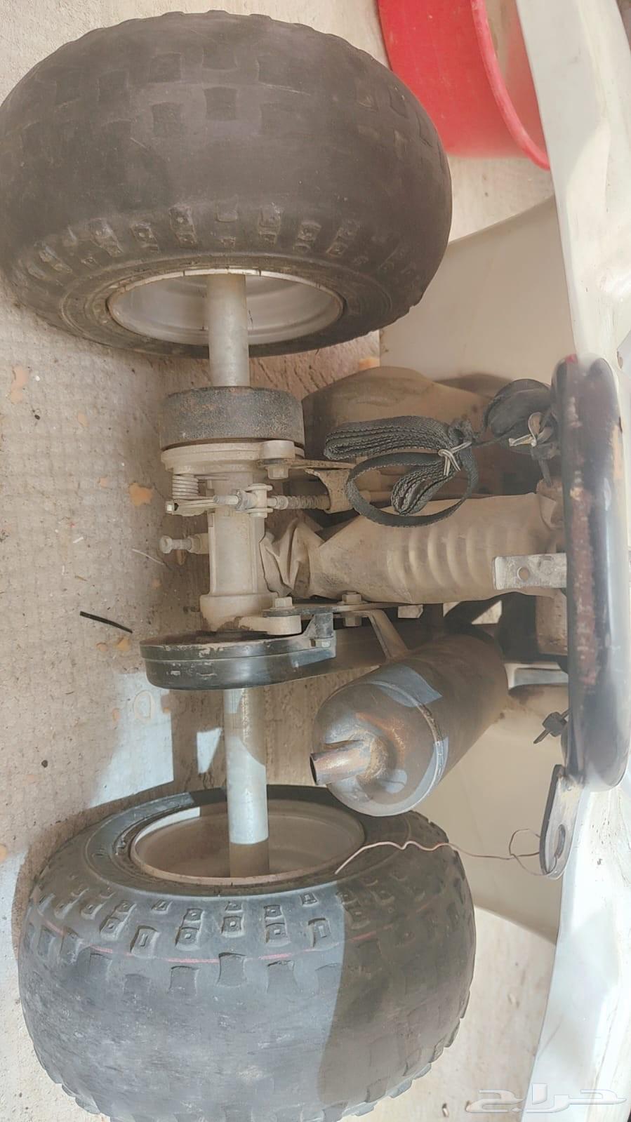 دباب للبيع64489600680067114