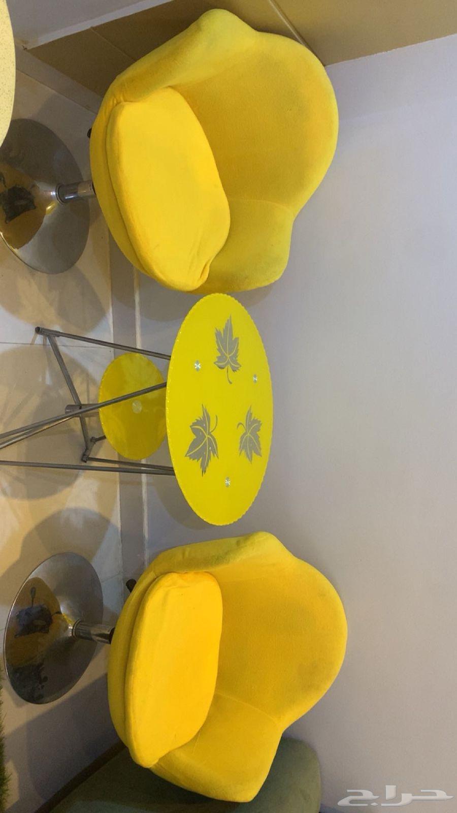 2 chairs with the table64230816598146110