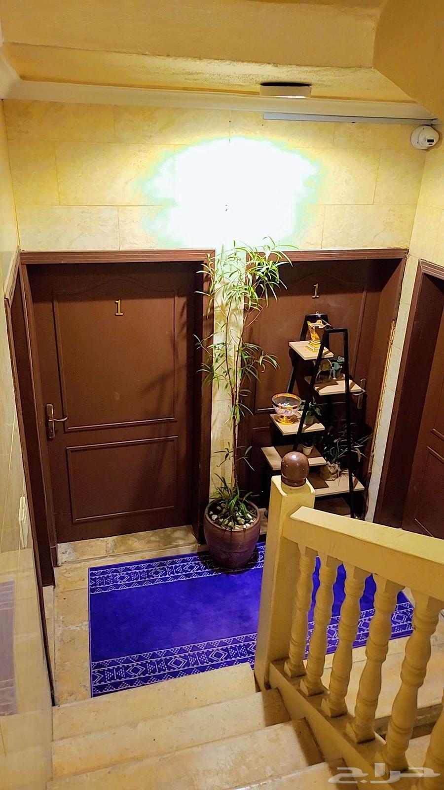 High-end bachelor apartment in Dammam63613861224705114