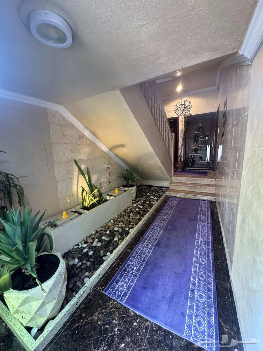 High-end bachelor apartment in Dammam636138612247051123